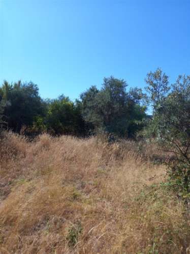 Terreno Rústico  Venda em Freixial e Juncal do Campo,Castelo Branco