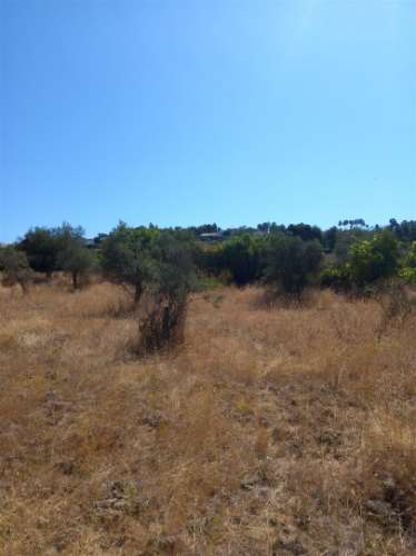 Terreno Rústico  Venda em Freixial e Juncal do Campo,Castelo Branco