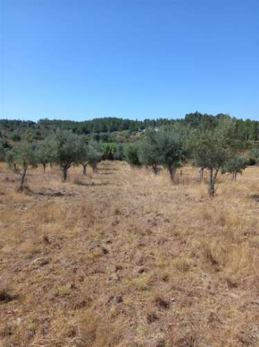 Terreno Rústico  Venda em Freixial e Juncal do Campo,Castelo Branco