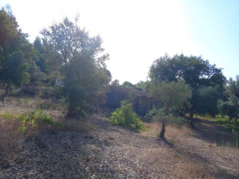 Terreno Rústico  Venda em Freixial e Juncal do Campo,Castelo Branco