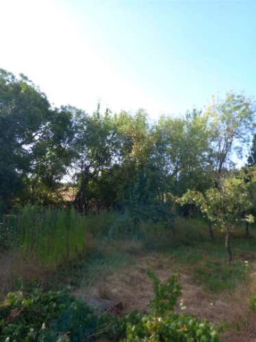 Terreno Rústico  Venda em Freixial e Juncal do Campo,Castelo Branco