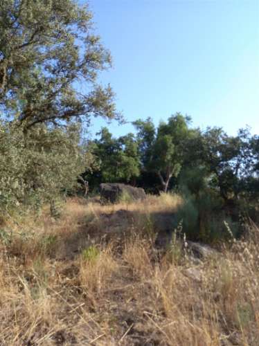 Terreno Rústico  Venda em Freixial e Juncal do Campo,Castelo Branco