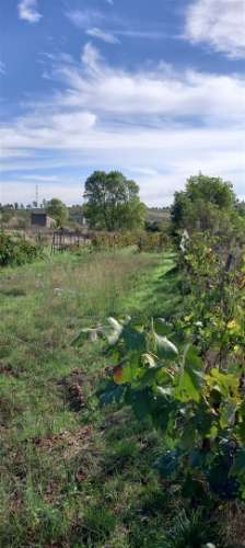 Terreno Rústico  Venda em Castelo Branco,Castelo Branco
