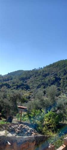 Moradia T4 Venda em Sarzedas,Castelo Branco