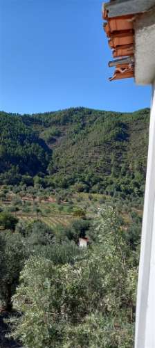 Moradia T4 Venda em Sarzedas,Castelo Branco