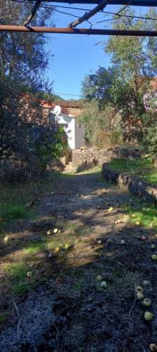 Moradia T4 Venda em Sarzedas,Castelo Branco