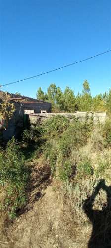 Armazém  Venda em Sarzedas,Castelo Branco