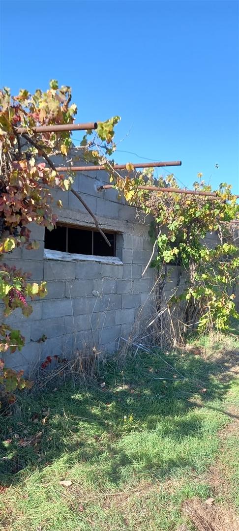 Armazém  Venda em Sarzedas,Castelo Branco