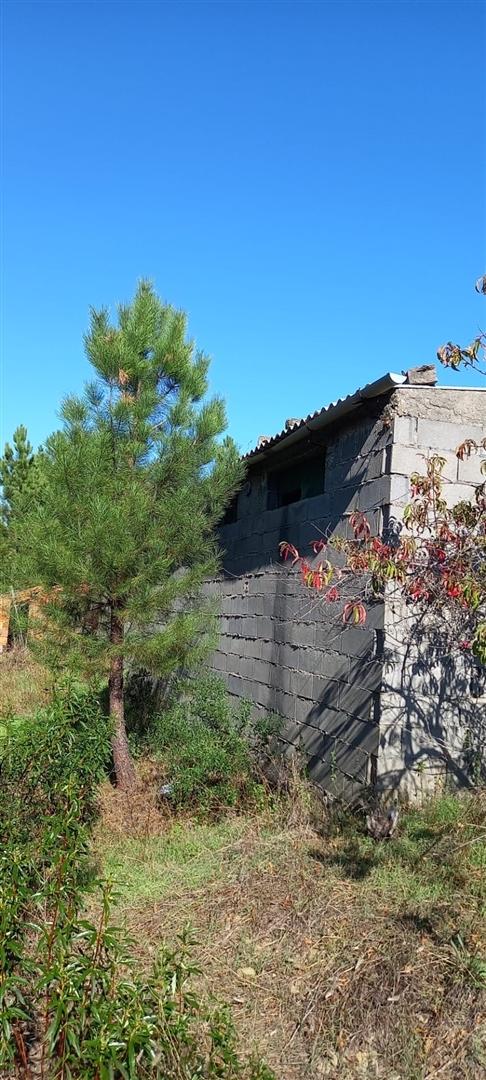 Armazém  Venda em Sarzedas,Castelo Branco