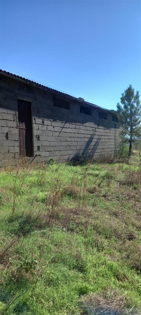 Armazém  Venda em Sarzedas,Castelo Branco