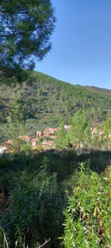 Armazém  Venda em Sarzedas,Castelo Branco