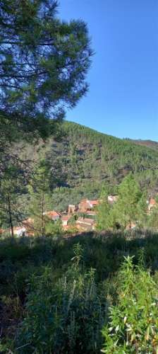 Armazém  Venda em Sarzedas,Castelo Branco