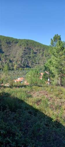 Armazém  Venda em Sarzedas,Castelo Branco