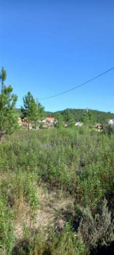 Armazém  Venda em Sarzedas,Castelo Branco