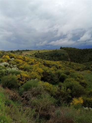 Terreno Rústico  Venda em Benquerenças,Castelo Branco