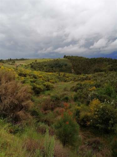 Terreno Rústico  Venda em Benquerenças,Castelo Branco