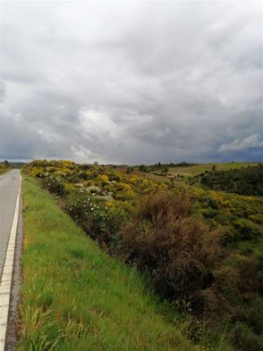 Terreno Rústico  Venda em Benquerenças,Castelo Branco
