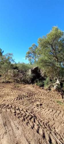 Terreno Rústico  Venda em Salgueiro do Campo,Castelo Branco
