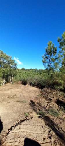 Terreno Rústico  Venda em Salgueiro do Campo,Castelo Branco