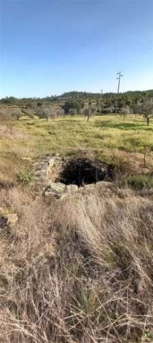 Terreno Rústico  Venda em Sarzedas,Castelo Branco