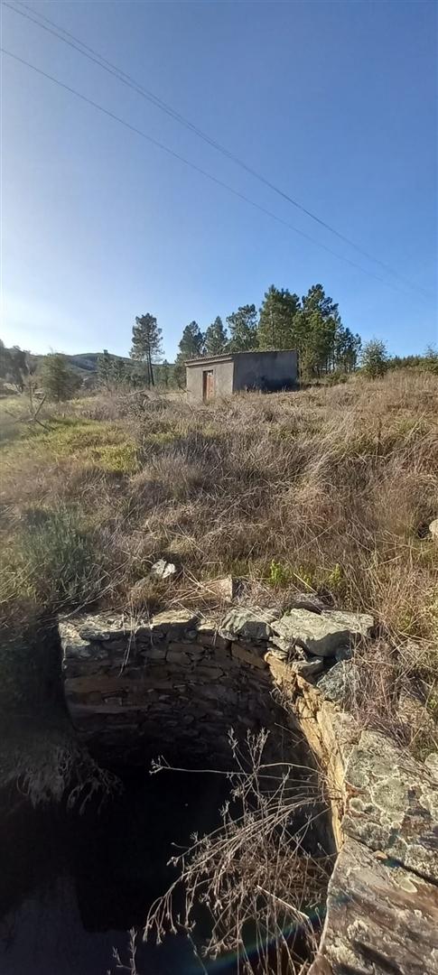 Terreno Rústico  Venda em Sarzedas,Castelo Branco