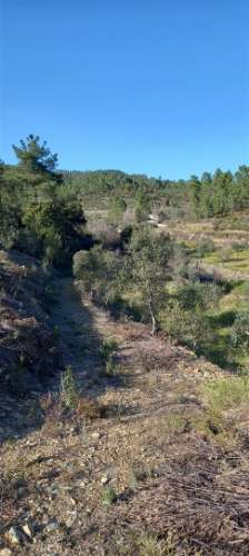 Terreno Rústico  Venda em Sarzedas,Castelo Branco
