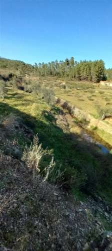 Terreno Rústico  Venda em Sarzedas,Castelo Branco