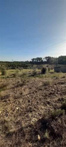 Terreno Rústico  Venda em Sarzedas,Castelo Branco