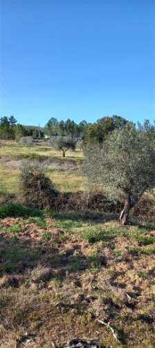 Terreno Rústico  Venda em Sarzedas,Castelo Branco