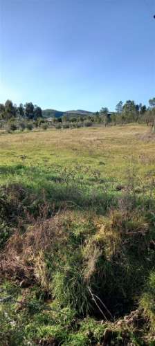 Terreno Rústico  Venda em Sarzedas,Castelo Branco