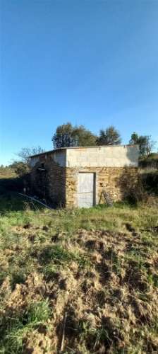 Terreno Rústico  Venda em Sarzedas,Castelo Branco
