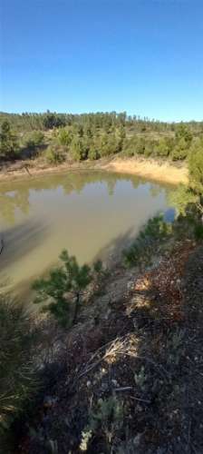 Terreno Rústico  Venda em Sarzedas,Castelo Branco