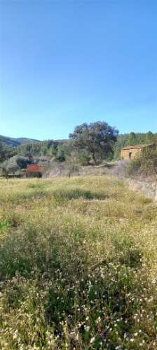 Terreno Rústico  Venda em Sarzedas,Castelo Branco