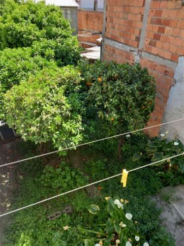 Prédio  Venda em Alcains,Castelo Branco