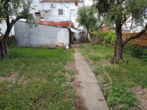 Prédio  Venda em Castelo Branco,Castelo Branco