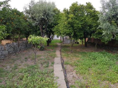 Prédio  Venda em Castelo Branco,Castelo Branco