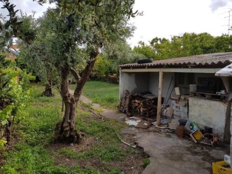 Prédio  Venda em Castelo Branco,Castelo Branco
