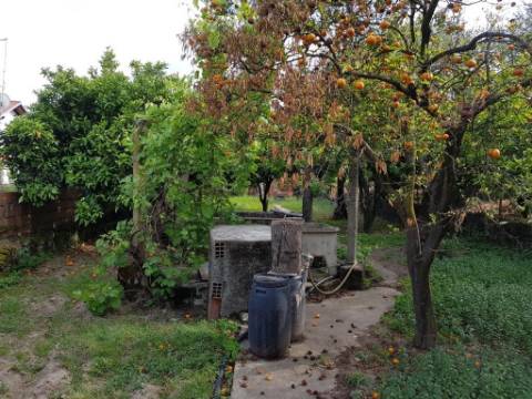 Prédio  Venda em Castelo Branco,Castelo Branco