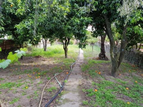 Prédio  Venda em Castelo Branco,Castelo Branco