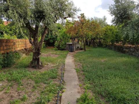Prédio  Venda em Castelo Branco,Castelo Branco