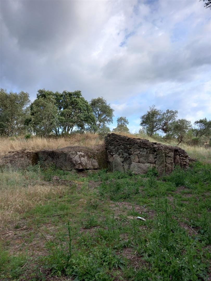 Terreno Rústico  Venda em Salgueiro do Campo,Castelo Branco