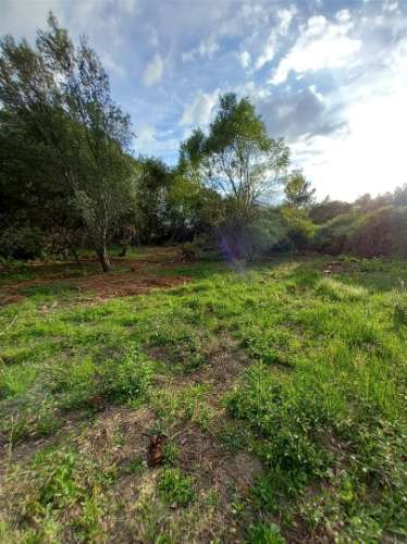 Terreno Rústico  Venda em Salgueiro do Campo,Castelo Branco
