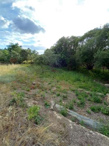 Terreno Rústico  Venda em Salgueiro do Campo,Castelo Branco