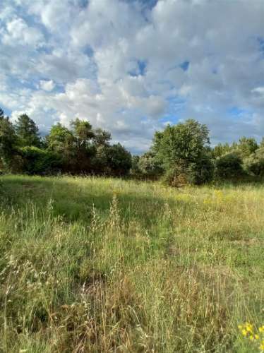 Terreno Rústico  Venda em Salgueiro do Campo,Castelo Branco