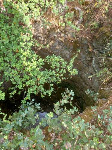 Terreno Rústico  Venda em Salgueiro do Campo,Castelo Branco