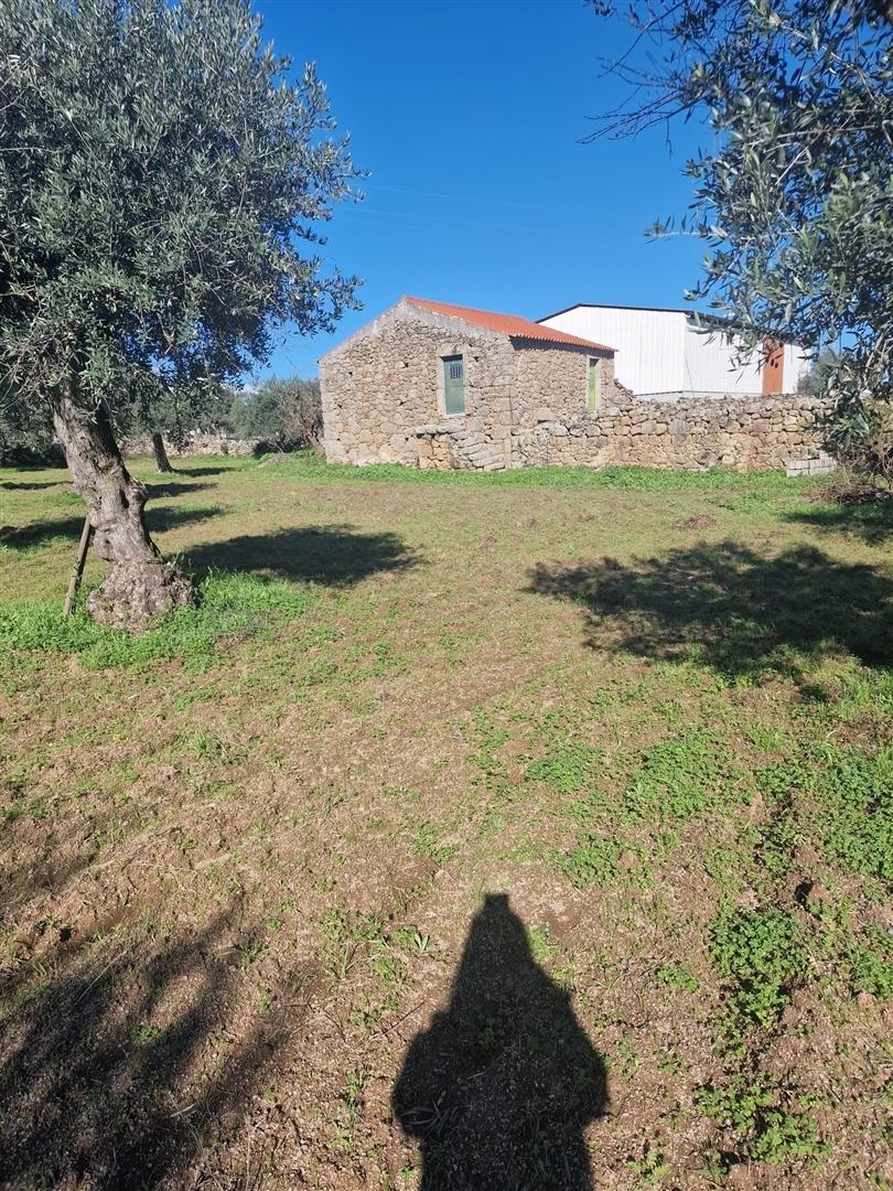 Terreno Rústico  Venda em Escalos de Cima e Lousa,Castelo Branco