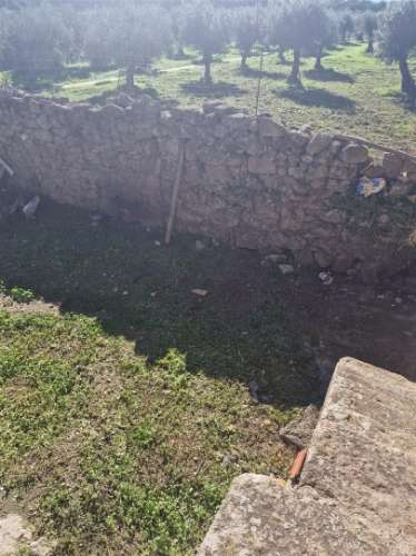 Terreno Rústico  Venda em Escalos de Cima e Lousa,Castelo Branco