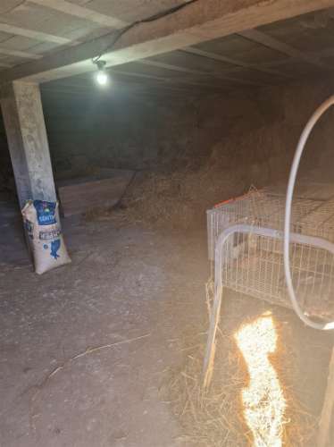 Terreno Rústico  Venda em Escalos de Cima e Lousa,Castelo Branco