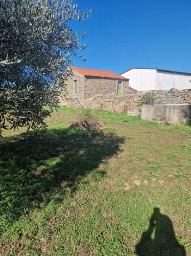 Terreno Rústico  Venda em Escalos de Cima e Lousa,Castelo Branco