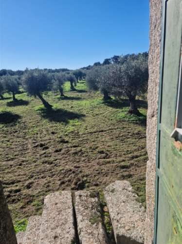 Terreno Rústico  Venda em Escalos de Cima e Lousa,Castelo Branco